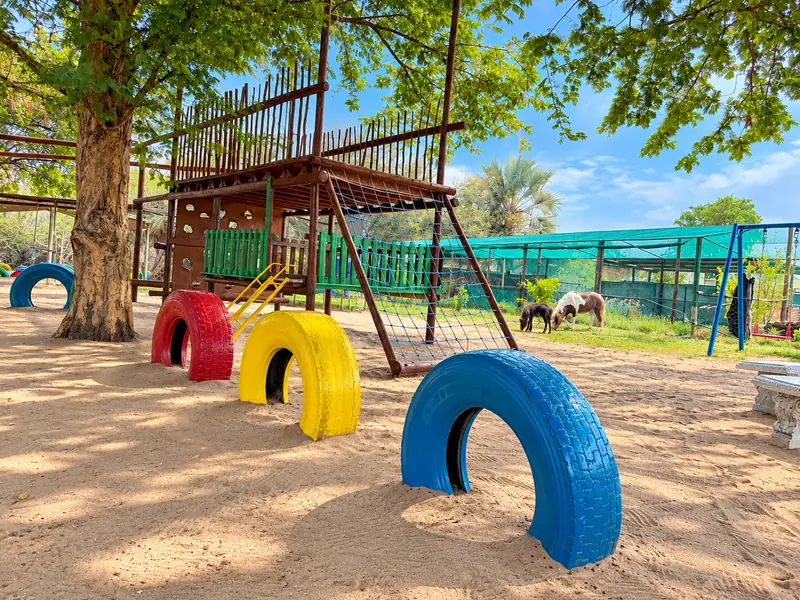 A wooden climbing fort and brightly painted tyres under shady trees at our Okatana campus.